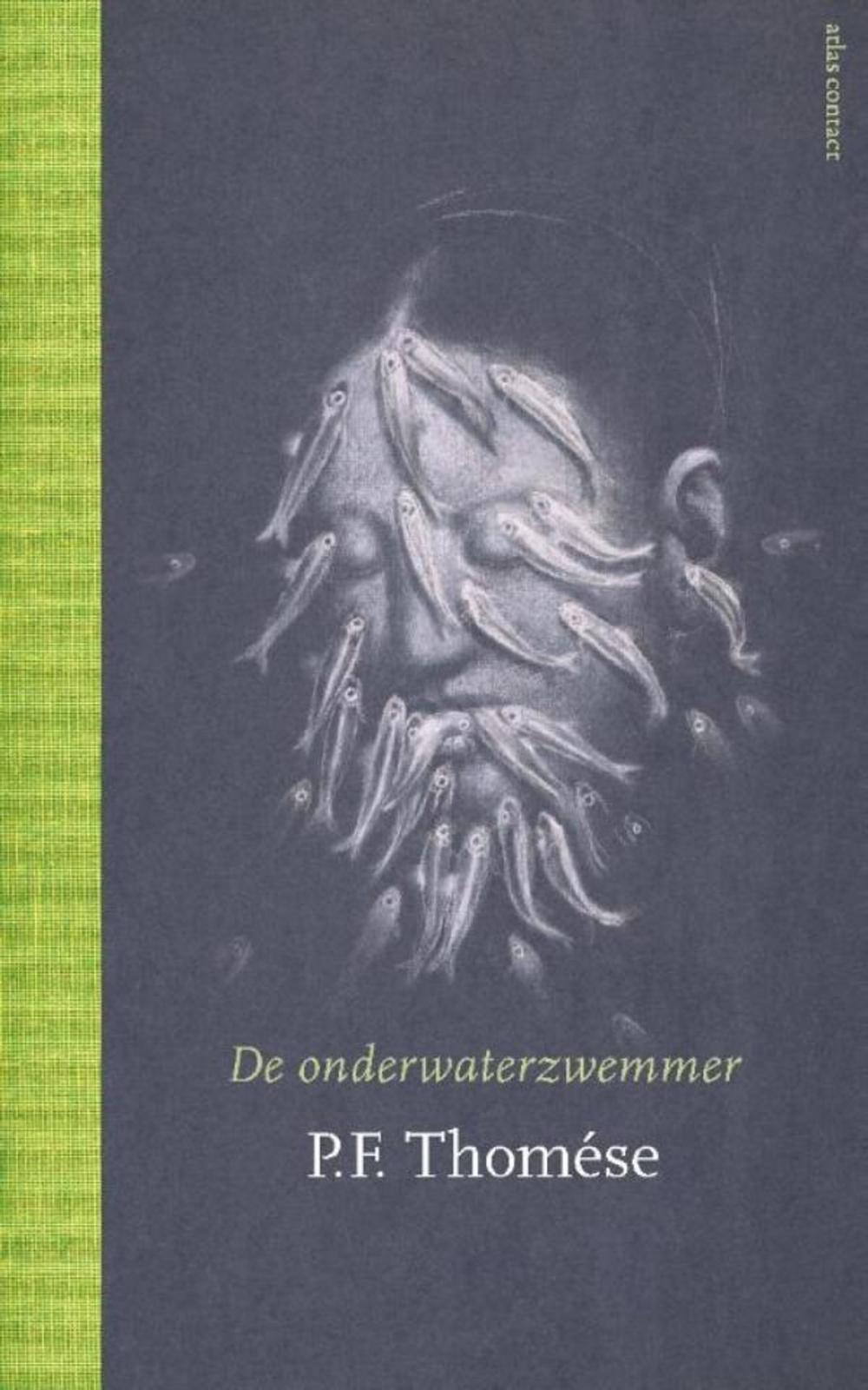 Big bigCover of De onderwaterzwemmer