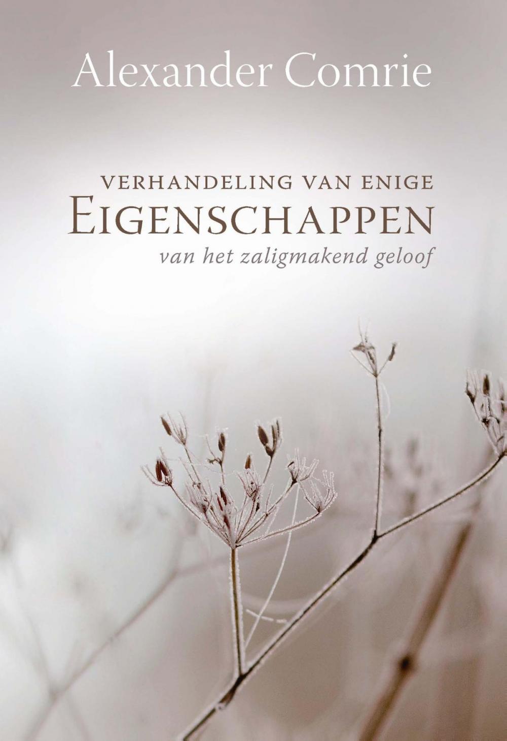 Big bigCover of Verhandeling van enige eigenschappen van het zaligmakend geloof