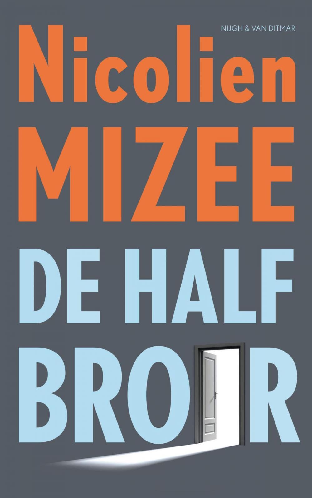 Big bigCover of De halfbroer