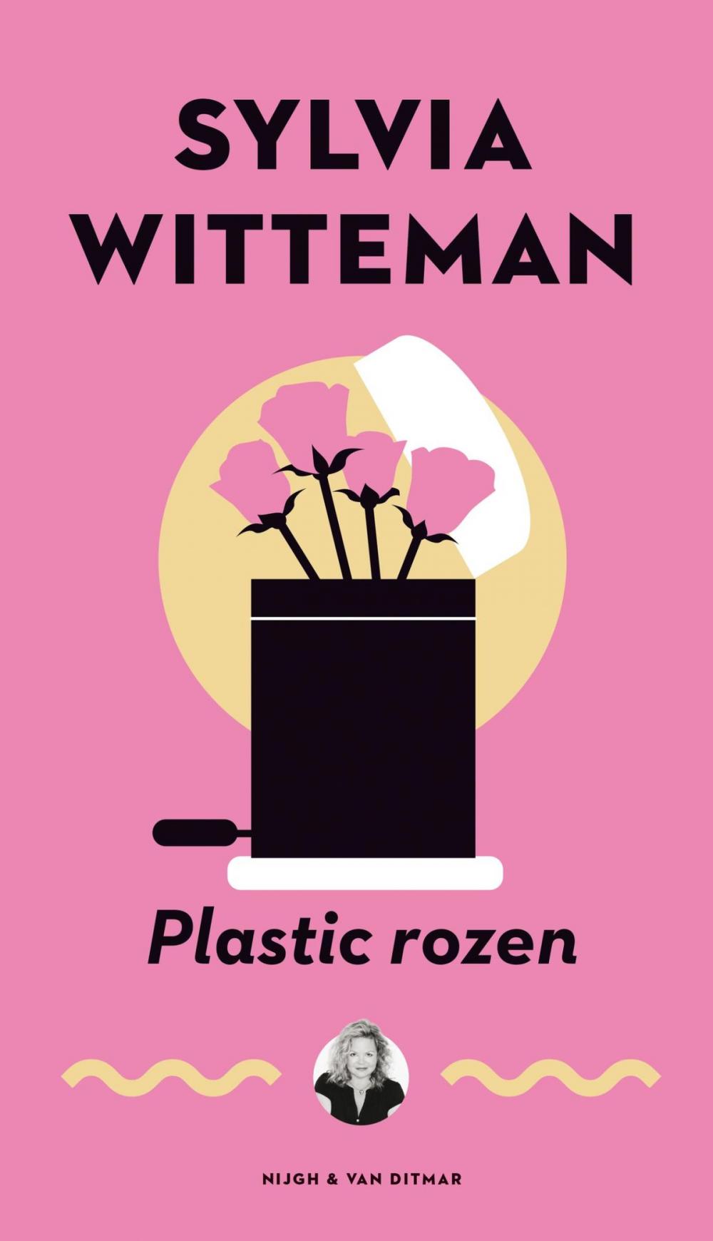 Big bigCover of Plastic rozen