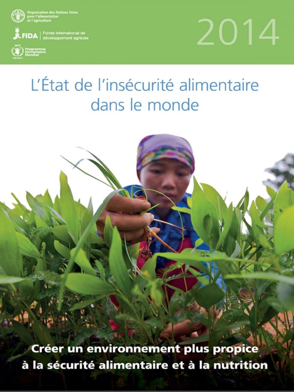 Big bigCover of L'état de l’insécurité alimentaire dans le monde 2014: Creer un environnement plus propice a la securite alimentaire et a la nutrition