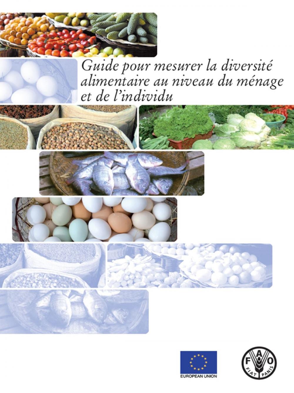 Big bigCover of Guide pour mesurer la diversité alimentaire au niveau du ménage et de l’individu