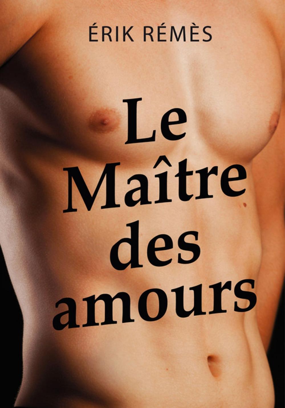 Big bigCover of Le Maître des amours