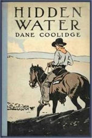 Cover of the book Hidden Water by Book List Genie