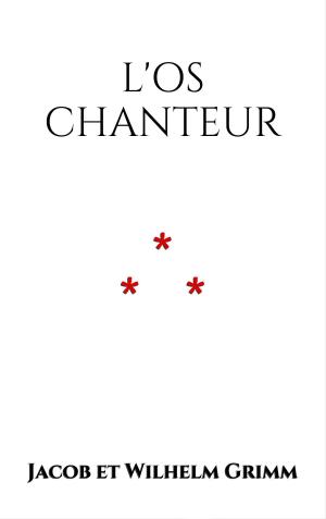 Cover of the book L'Os Chanteur by Sahar Sabati