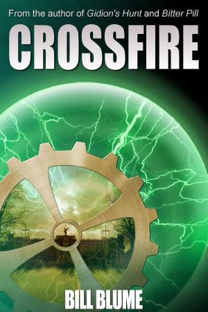Cover of the book Crossfire by Steve Stroble