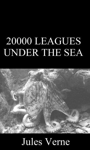 Cover of the book 20000 Leagues Under the Sea by LC Schwartz, Teeko