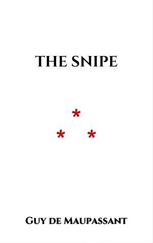 bigCover of the book The Snipe by 
