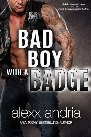 Cover of the book Bad Boy With A Badge by Pamela M. Richter