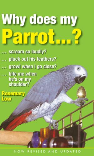 Cover of the book Why Does My Parrot...? by Rebecca F. John
