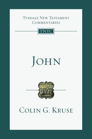 Cover of the book John by Derek Kidner