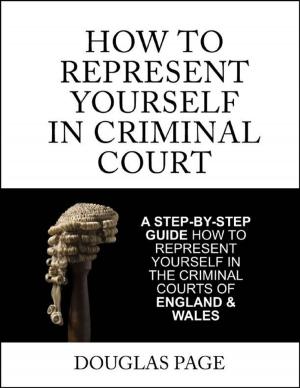 Cover of How to Represent Yourself In Criminal Court