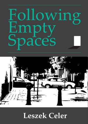 Cover of Following Empty Spaces