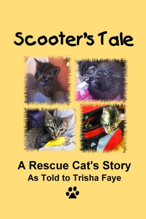 Cover of the book Scooter's Tale: A Rescue Cat's Story by H Claire Fretwell