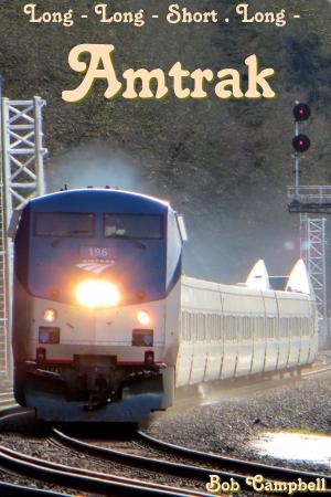 Cover of the book Amtrak: Long - Long - Short . Long - by Tony Nester