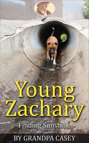 Cover of the book Young Zachary Finding Sunshine by Ad Long