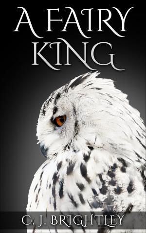 Book cover of A Fairy King