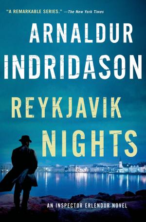Cover of the book Reykjavik Nights by Sharon Sterling
