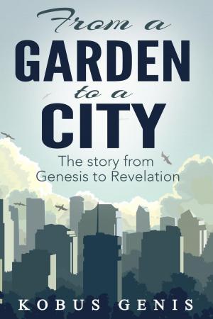 bigCover of the book From a Garden to a City by 