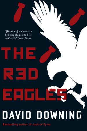 Book cover of The Red Eagles