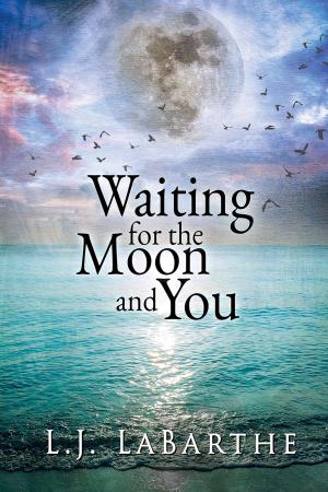 Cover of the book Waiting for the Moon and You by Andrew Grey