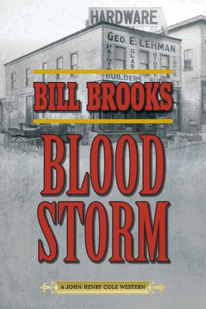 Cover of the book Blood Storm by Veit Heinichen