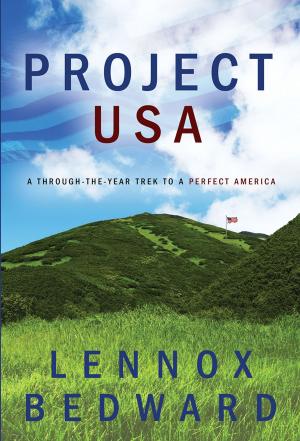 Cover of the book Project USA: A Through-the-Year Trek to a Perfect America by Bhaskar Banerjee