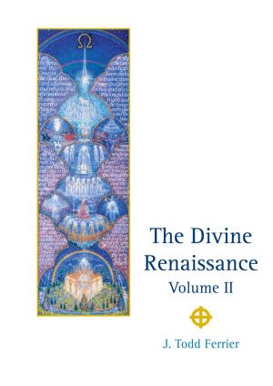 Cover of the book The Divine Renaissance by W Michael Allen