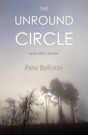 Book cover of The Unround Circle