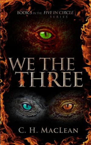 Cover of the book We the Three by Donna Kay Cindy Kakonge