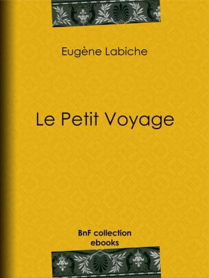 Cover of the book Le Petit Voyage by Tristan Corbière