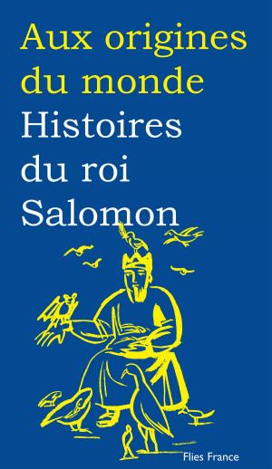 Cover of the book Histoires du roi Salomon by Galina Kabakova