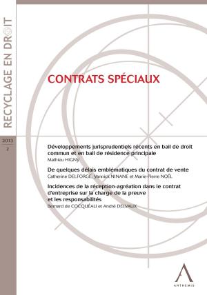 Cover of the book Contrats spéciaux by Nicola Angius