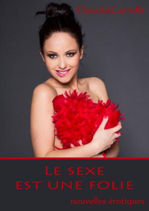 Book cover of Le sexe est une folie