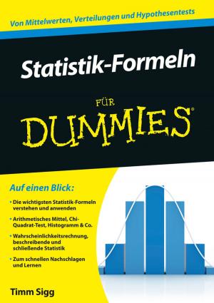 Cover of the book Statistik-Formeln für Dummies by Paul Katzeff