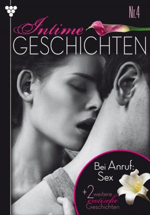 Cover of the book Intime Geschichten 4 – Erotikroman by Irene von Velden