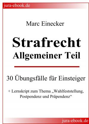 Cover of the book Strafrecht Allgemeiner Teil by Astrid Wagner
