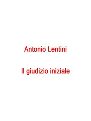 Cover of the book Il giudizio iniziale by Archana Aggarwal
