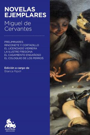 Cover of the book Novelas ejemplares by Laura Gallego