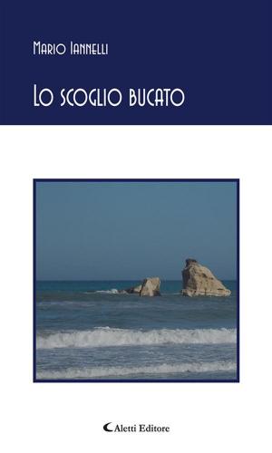 Cover of the book Lo scoglio bucato by Francesca Tabarini
