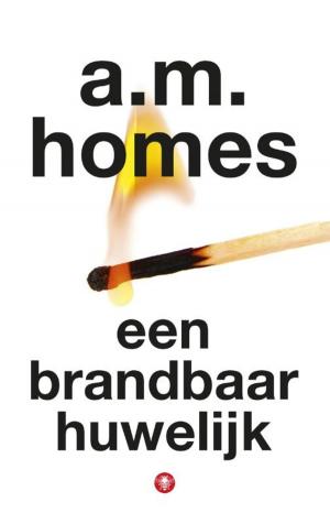 Cover of the book Een brandbaar huwelijk by Jonathan Coe