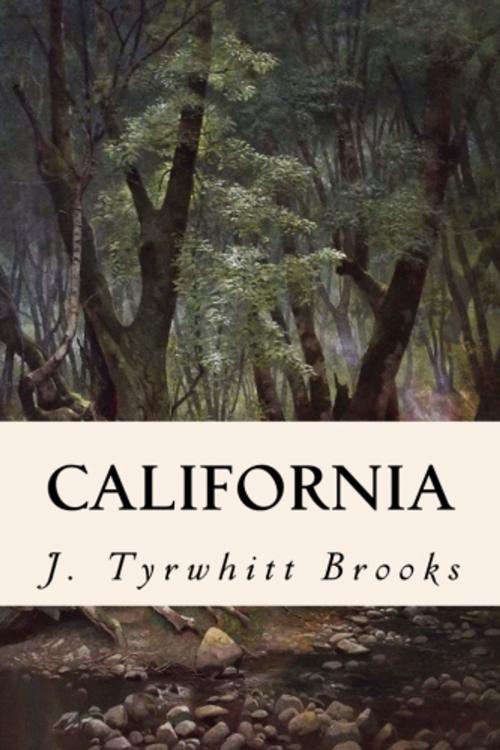 Cover of the book California by J. Tyrwhitt Brooks, True North