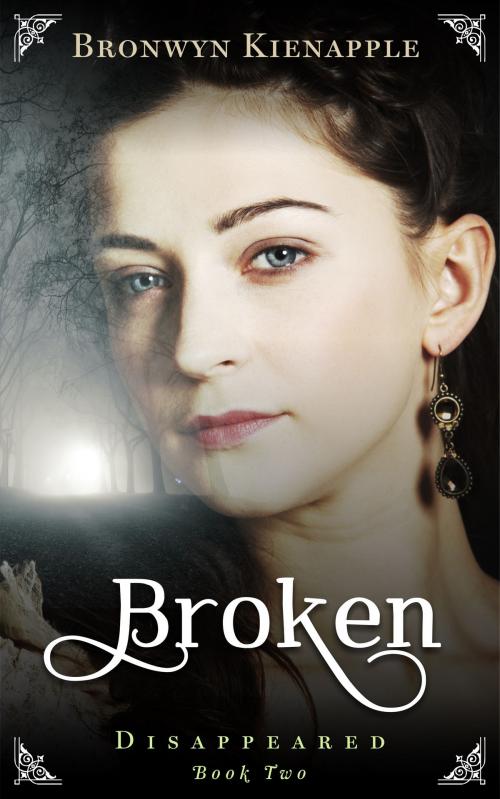 Cover of the book Broken by Bronwyn Kienapple, Bronwyn Kienapple