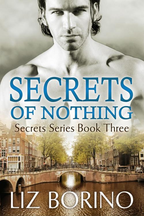 Cover of the book Secrets of Nothing by Liz Borino, Liz Borino Publishing