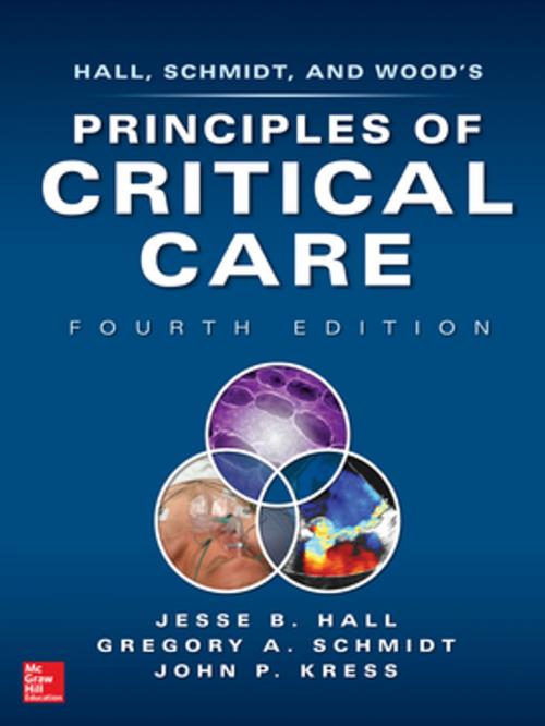 Cover of the book PRINCIPLES OF CRITICAL CARE 4/E (SET 2) by Jesse B. Hall, Gregory A. Schmidt, John Kress, McGraw-Hill Education