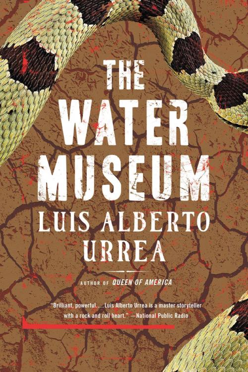 Cover of the book The Water Museum by Luis Alberto Urrea, Little, Brown and Company