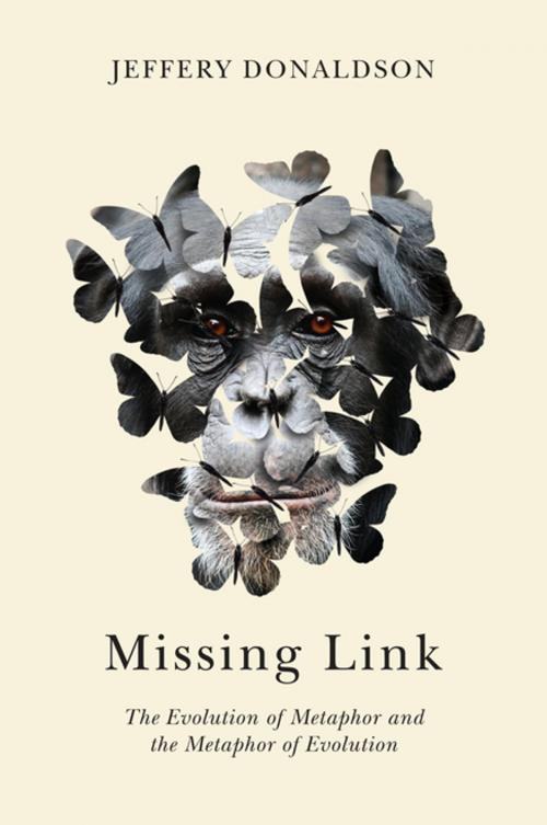 Cover of the book Missing Link by Jeffery Donaldson, MQUP