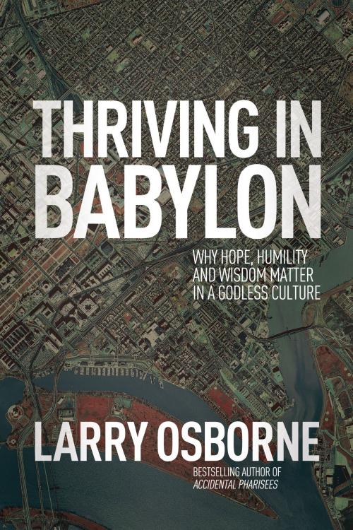 Cover of the book Thriving in Babylon by Larry Osborne, David C Cook