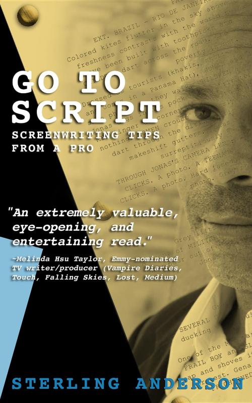Cover of the book Go To Script by Sterling Anderson, Nitsua Productions