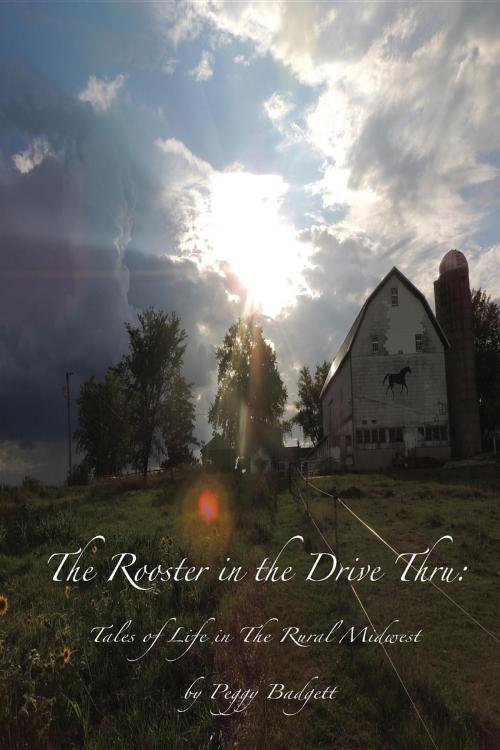 Cover of the book The Rooster in the Drive Thru by Peggy Badgett, peggy badgett
